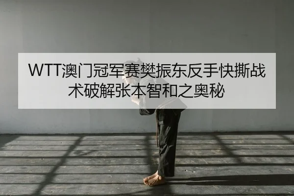WTT澳门冠军赛樊振东反手快撕战术破解张本智和之奥秘